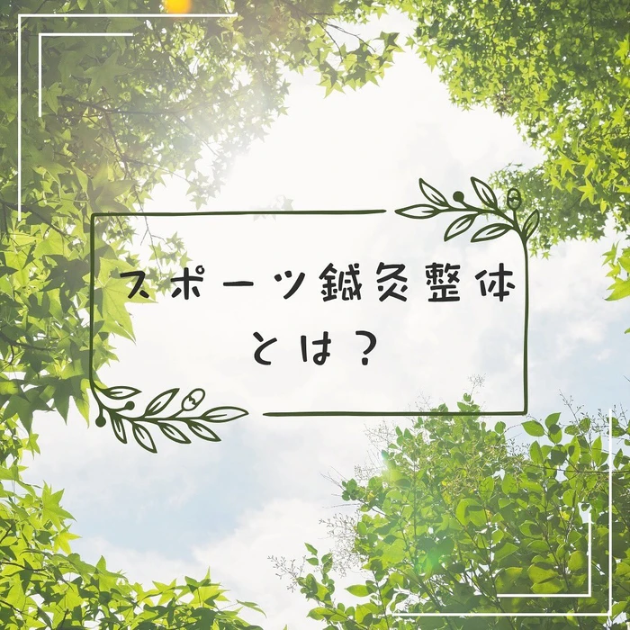 画像254