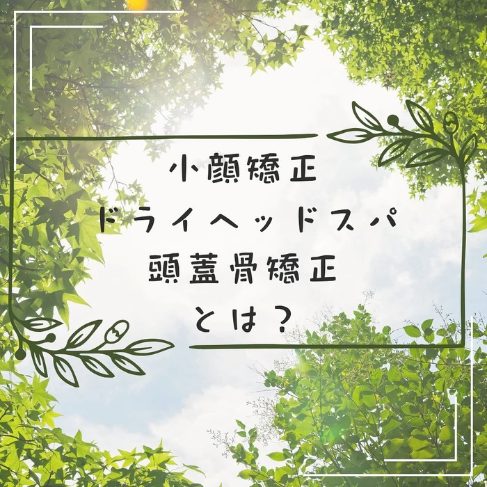 画像261