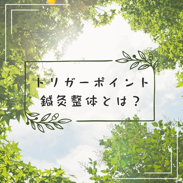 画像269