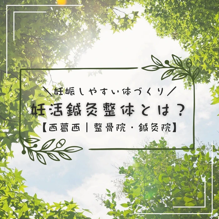 画像278