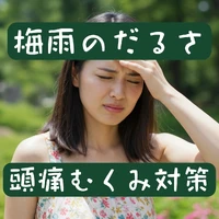 画像336
