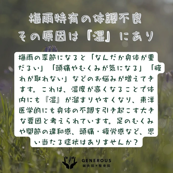画像337